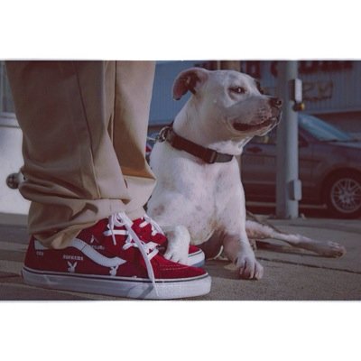 joshieboii3's profile picture. Bitches by Granddad,