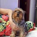 Mel Gallo - @melpgallo - Twitter