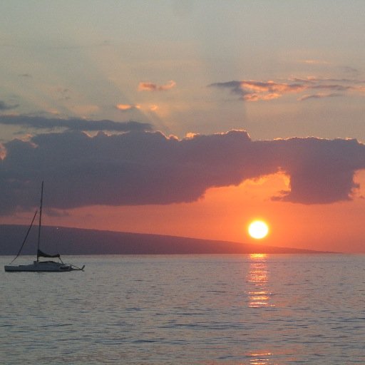 cynbiz85's profile picture. Brian’s spouse, Craig’s Mom, Hayley’s second Mom & Debi’s sister