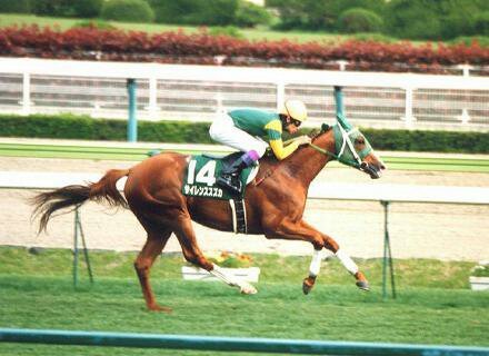 ただの競馬好きの26歳です。サイレンススズカに出会ってからずっと競馬に夢中。最近応援している馬は、エイシンヒカリ・エイシンスパルタン・オリオンザジャパン。好きな騎手は田辺騎手と浜中騎手。