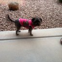 Carol Jamison - @caroljamison4 - Twitter