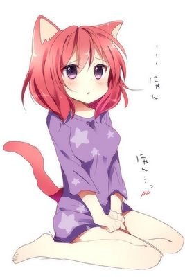 キルさんのプロフィール画像