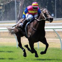 John Price (@johnpriceracing) Twitter profile photo