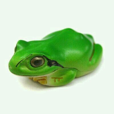 かえる🐍さんのプロフィール画像