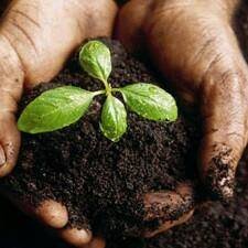 thomasumc's profile picture. Thomas Church shares the love of Jesus by engaging connecting and growing spiritual leaders to realize the fullness of God's Kingdom.