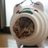 minimaru18's profile image