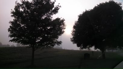 zelli_autumn's profile picture. 