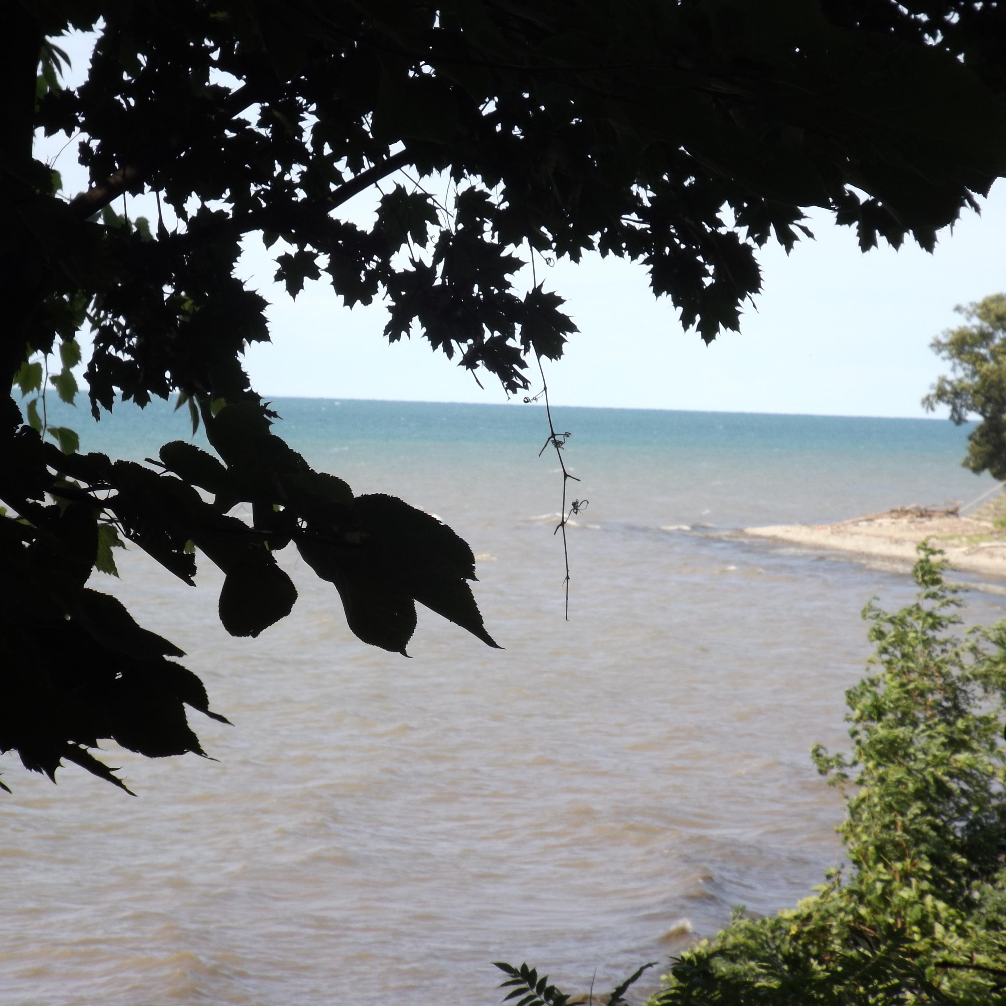 PattyBrunner's profile picture. Funeral Director