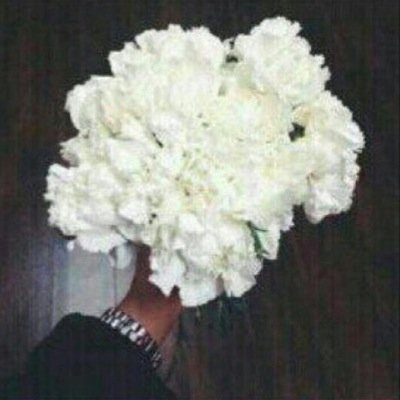 سبحان الله وبحمده سبحان الله العظيم