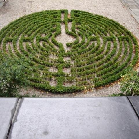 duawerang's profile picture. 