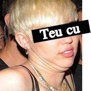 Senta e assiste o show.