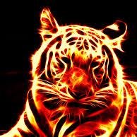 Im 15,am a competitive player and I am a Free Agent.I am looking for a team in Call of Duty Ghosts for LANs and Tournaments online.My Xbox GT:The Only Jprice.