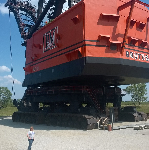 emily_emhodgson's profile picture. Life-long professional recipient of participation awards. I still turned out okay.