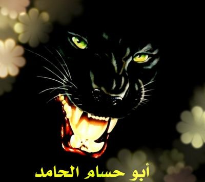 اللهم رضاك والجنة ♡ اللهم اني أعوذ بك من النار ♡ اللهم أني أسألك قضاء ديني وأن ترزقني الذرية الصالحة ♡ اللهم إني أسألك السعادة في الدارين ♡