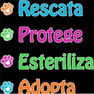 Ayudamos a difundir  animales en adopción,  casos que requieran recursos para rescates e información de jornadas de adopciones y esterilizaciones