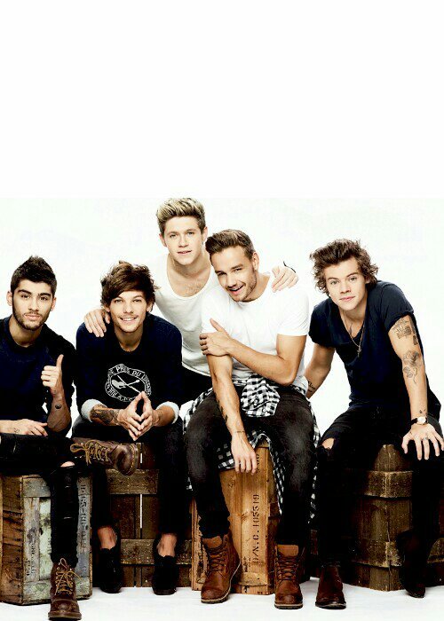 HARRY  STYLES   ZAYN   MALIK  LIAM PAYNE  NIALL  HORAN   LOUIS  TOMLINSON