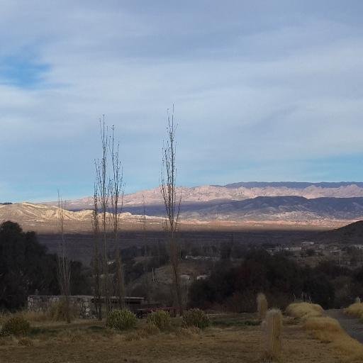 nadielodijo's profile picture. Hacedor de silencios..