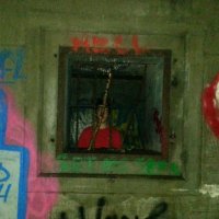 dan (@danvangos) 's Twitter Profile Photo