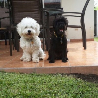 eunicemc's profile picture. Non rien de rien, non je ne regrette rien.. dog lover, languages lover, handcrafts lover