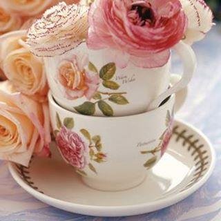 VictorianaTeas's profile picture. Passionate about Victorian teas, natural perfumes, shabby chic lifestyle, gourmet vegan food and chocolate.