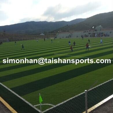 Sales manager at Taishan artificial turf  industry Group