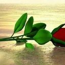 Le Anh Na (@0108128) Twitter