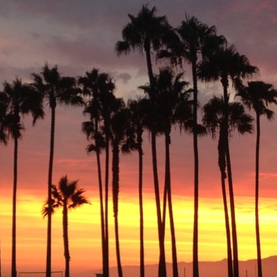 Dianavanderlee's profile picture. 