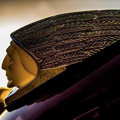 indianforums's profile picture. 