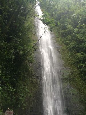 famfaifin's profile picture. 