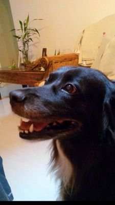 elizatia54's profile picture. 