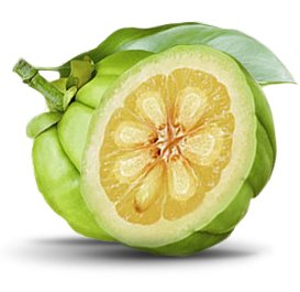 Garcinia Combogia Select