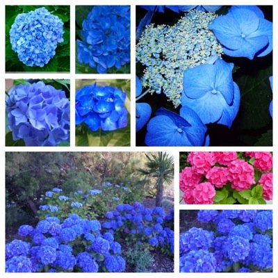 Hortensiadelva's profile picture. Natural de Sábana Grande, PR PELIGRO: Hay más populetes juntos que manda'os a hacer en fábrica Pero yo salí más penepé que to'a esa pava junta Amo el arte