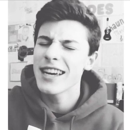 Just a free follow to ask for help! Pls see my tweets and help me with shawn follow! more information on dms! ♡