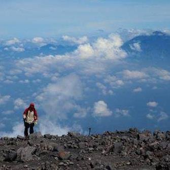 verledino's profile picture. 