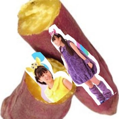 基本は趣味垢だけど色々ぶつぶつお話します　社会人になりました　　　　　　ももくろちゃーん/夏冬ライブはだいたい行きます