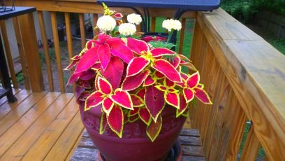 Schneider124's profile picture. 