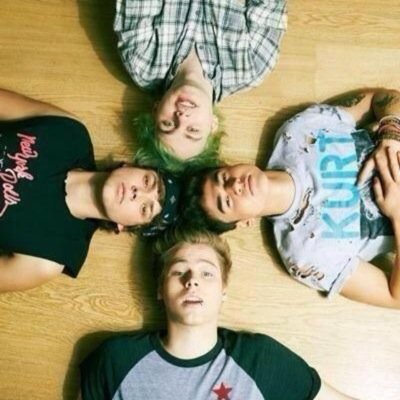 Folow me if your a fan and if u  can help me get luke hemming to follow me it would mean so much and plz follow @anahichavez879 plz and thx