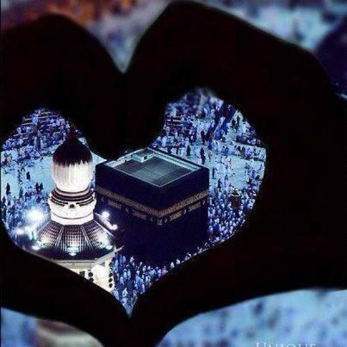 كن من تكون فاليوم تمشي وغدا مدفون