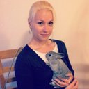 Dora Steed - @sylapyid - Twitter