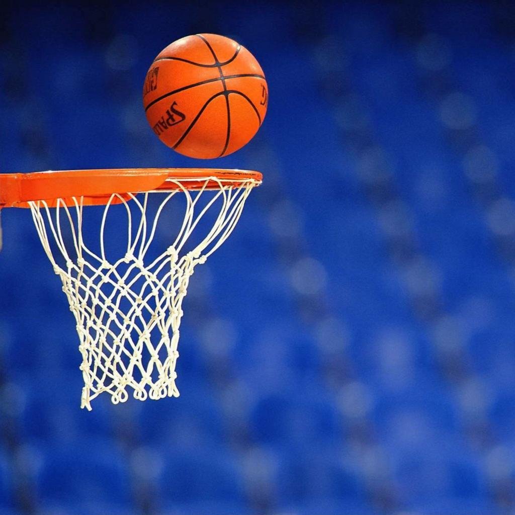 IDbasketballers's profile picture. Temukan Lingkar Berjaring mu sendiri, ajak beberapa temanmu, dan bermainlah di sana. Tepat di bawah si Lingkar Berjaring.
Follow my ig: @idbasketballers