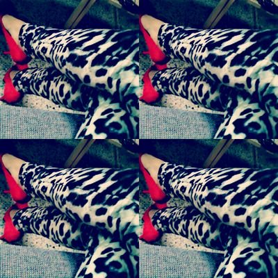 ItzPeli's profile picture. Siempre Pa Lo Mio