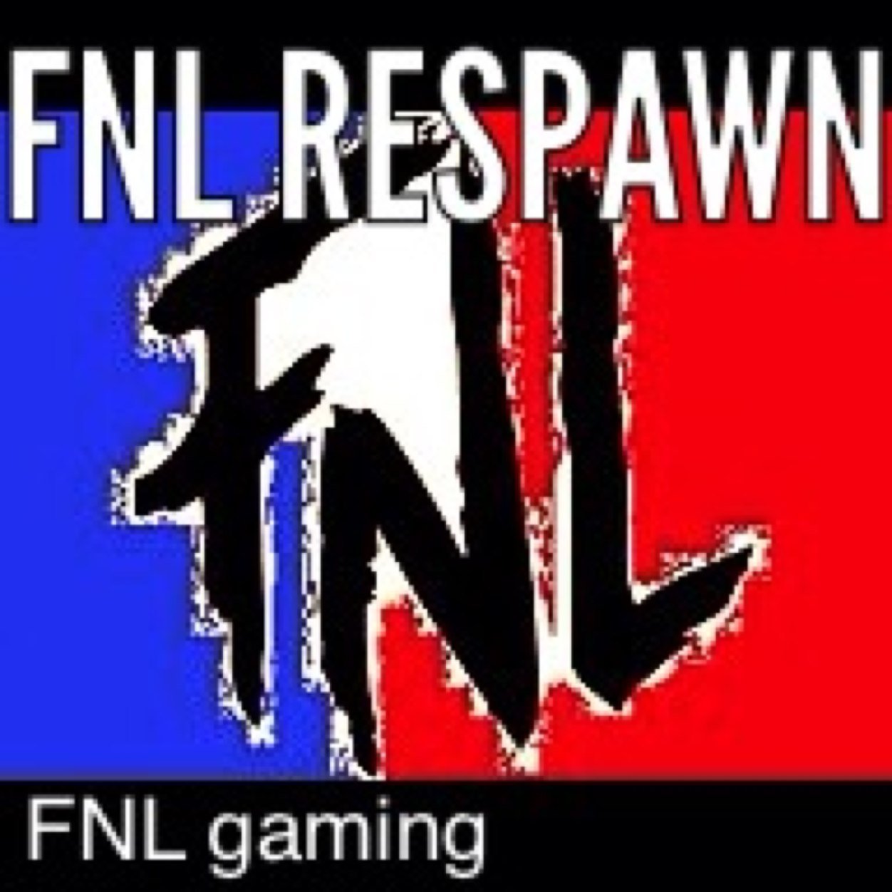FNLrespawn's profile picture. 