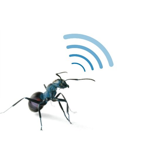 AntTail designs, develops and delivers products and services to monitor and track the origin and temperature of perishables and medicines in the cold chain.