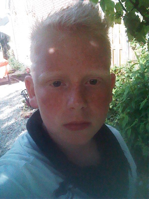 follow back