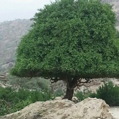 تابعني = اتابعك