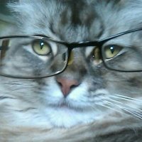 German Whitley (@mgermancvo) 's Twitter Profile Photo