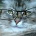 German Whitley (@mgermancvo) Twitter profile photo German Whitley (@mgermancvo) Twitter profile photo
