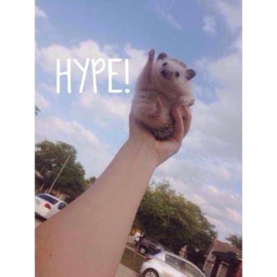 Official class account of 10-L SY : 2015-2016