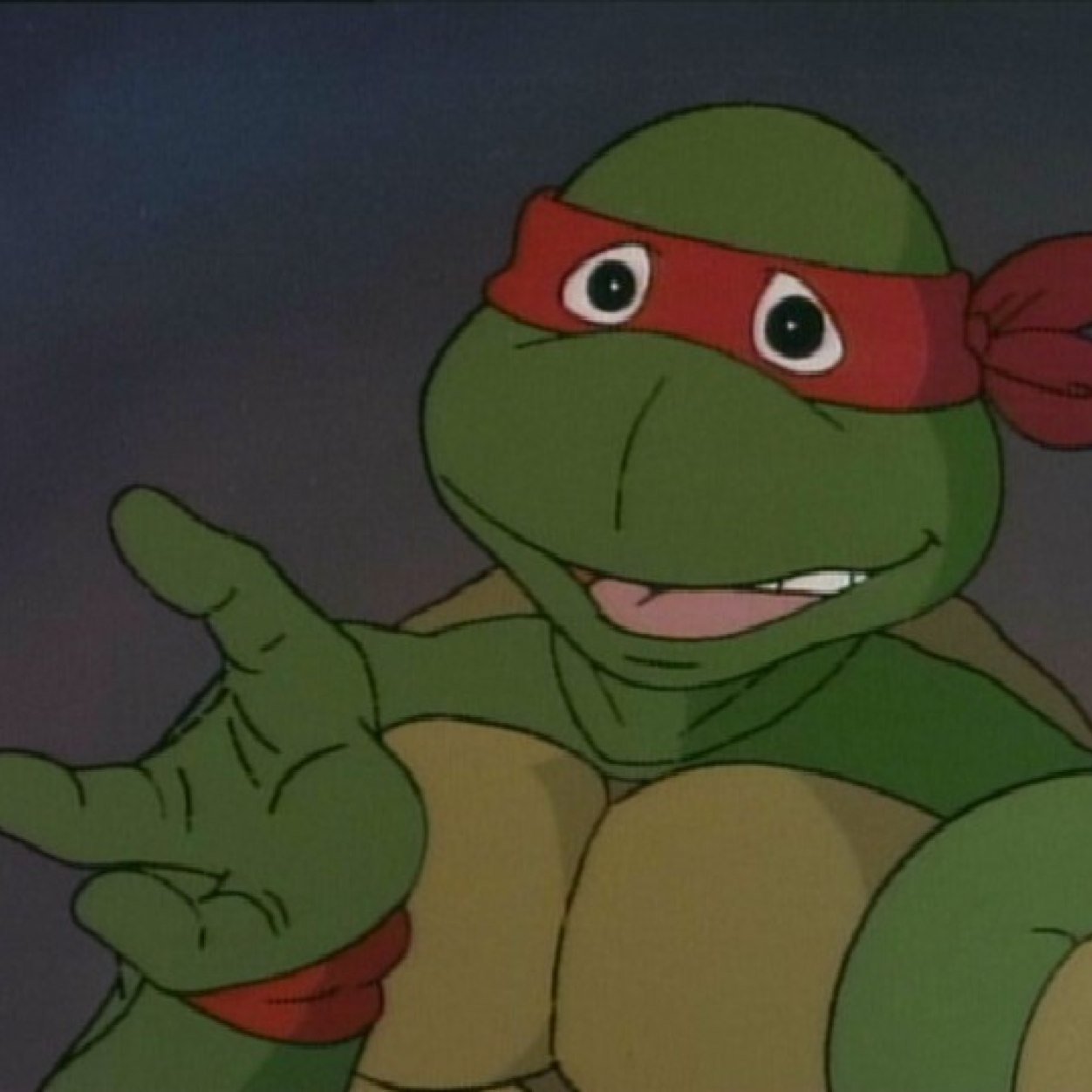 hoodniggaralph's profile picture. Im a hood ass turtle who got some toxic ozz spilled on my shit. Master splinter aint teach shit nigga. #TMNT nigga till I die, I keep the Dick in my halfshell