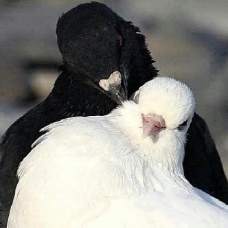 myuae79's profile picture. مهندس كمبيوتر/مصمم مواقع انترنت/خبير فوتوشوب/ملهم في البرامج